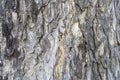 Nature stone texture for backgrounds image photo Royalty Free Stock Photo