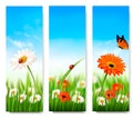 Nature summer banners with colorful flowers
