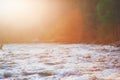 Nature summer blurred bokeh background for design with forest and river water in sunlight Royalty Free Stock Photo