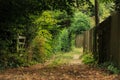 Nature summer landscape. Countryside view and rustic gate