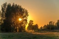 Nature. Summer sunset, the sun is hidden in the crown of trees, Deep shadows on the lawn