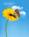 Nature summer yellow flower with butterfly. Royalty Free Stock Photo