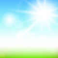 Nature sunny abstract summer background