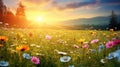 nature sunny eco background