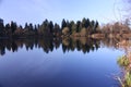 Nature sunrise trees pond reflection brisk shade pine