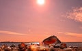 Nature sunset background Romantic beautiful sunset afternoon at sea on horizon Baltic Sea boat coral seashell on the rock sea sky Royalty Free Stock Photo