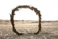 arch of spikelets