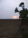 Nature, sunset, tree, field, mountain, beautiful, village eria