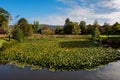 Nature surrounding beautiful Valdivia, Chile Royalty Free Stock Photo