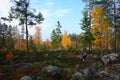 Nature of Sweden, Man hiking in autumn forest Royalty Free Stock Photo