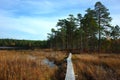 Nature of Sweden, Wooden path of hiking trail Royalty Free Stock Photo