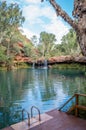 Nature swimming pool Royalty Free Stock Photo