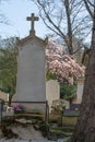 Nature symbiosis with death at springtime cemetery - trees and graveyard Royalty Free Stock Photo