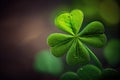 nature symbol of good luck and fortune four-leaf green clover on blurry background