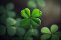 nature symbol of good luck and fortune four-leaf green clover on blurry background