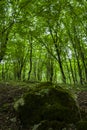 Nature of Syunik Region of Republic of Armenia Royalty Free Stock Photo