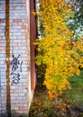 nature takes over the city. Abandoned building