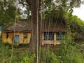Nature takes over the house abandoned by people in 1990. Royalty Free Stock Photo