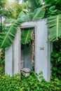 Tropical vegetation reclaiming an abandoned house in the Philippines. Royalty Free Stock Photo