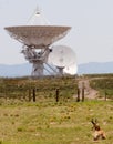 Nature and technology