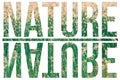 Nature text made from green grass isolated white background Royalty Free Stock Photo