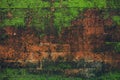 Nature Texture. Stone wall with greenery Royalty Free Stock Photo