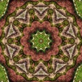 Nature themed fractal mandala Royalty Free Stock Photo