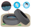 Nature, tires with stagnant water with fly breeding mosquitoes