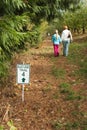 Nature trail Royalty Free Stock Photo