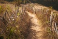 A nature trail with bamboo fencing through a meadow Royalty Free Stock Photo