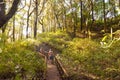 Nature Trail of Doi Inthanon