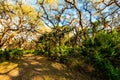 Nature Trail Jelks Preserve Venice Florida