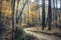 Nature Trail in North Carolina Royalty Free Stock Photo