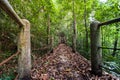 Nature trail,path with wooden bridge in deep forest National Park, Thailand Royalty Free Stock Photo