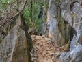 Nature trail on Pha Ngeun in vangvieng City Laos. Royalty Free Stock Photo