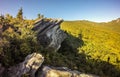 Nature trail scenes to calloway peak north carolina