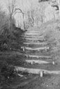 Nature trail with a stair made of wooden stumps