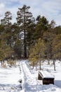 The nature trail winds through a coniferous forest with a rest bench next to it Royalty Free Stock Photo