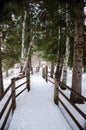 Nature trail in Winter