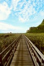 The Nature Trail Wooden Bridge. Royalty Free Stock Photo