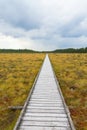 Nature trail on a wooden footbridge across a moor Royalty Free Stock Photo