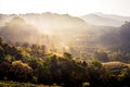 Nature travel concept: Misty summer for layer of tree mountain