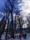 Nature Trek uttrakhand winter snow