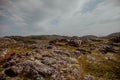 Nature of tundra mountains, moss and berries and rocks