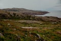 Nature of tundra, sea beach and mountains, moss and berries