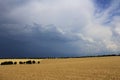 Clouds over a wheat field