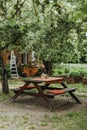 Nature ukraine garden kitchen table trees tree grass willage green yard