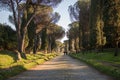 Nature in via Appia Antica, Rome. Royalty Free Stock Photo