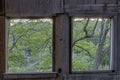 Nature view through English Camp Barn