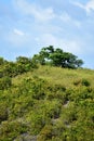 Nature View Of Hilltop And Sky